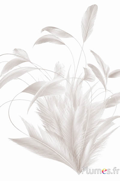 Coq fouet Body Split - 20-25 cm - blanc